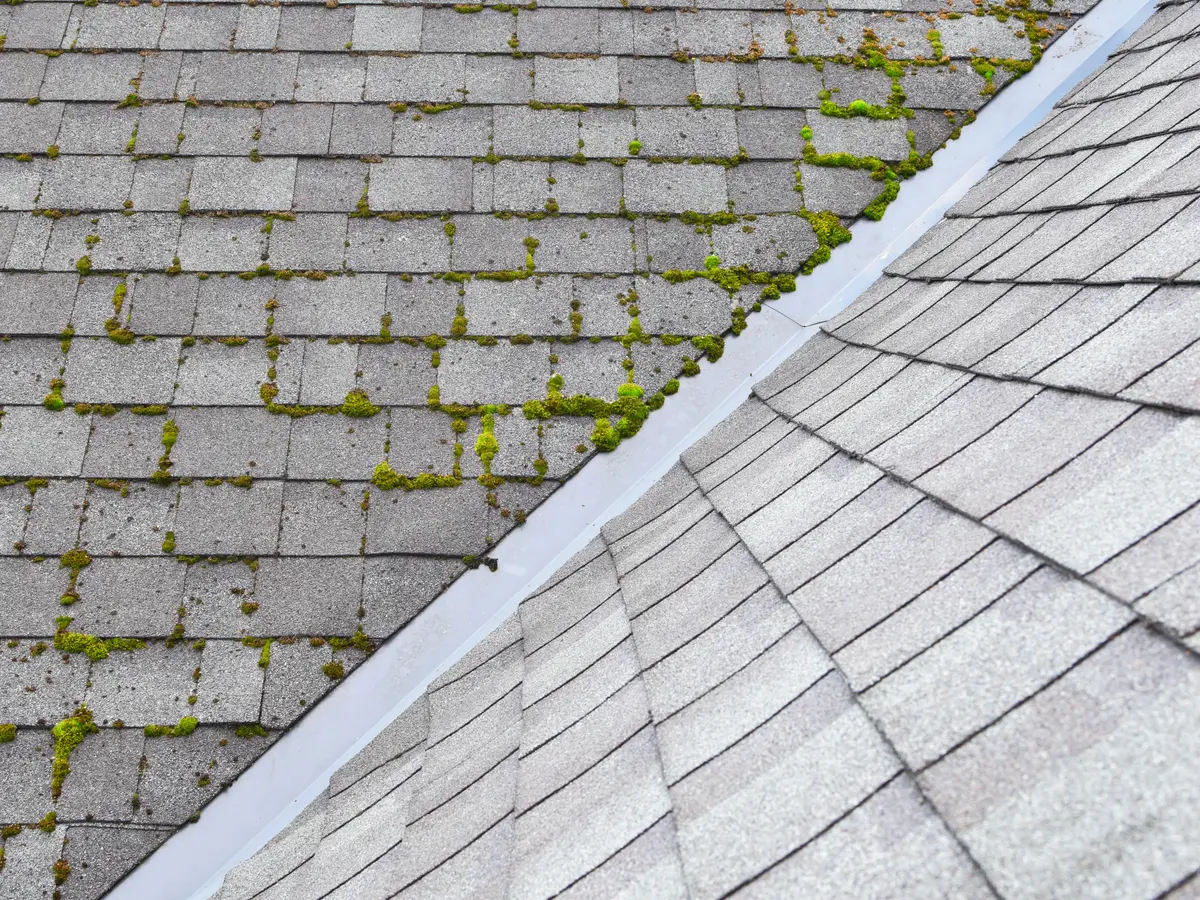 Grey asphalt shingles along a roof ridge