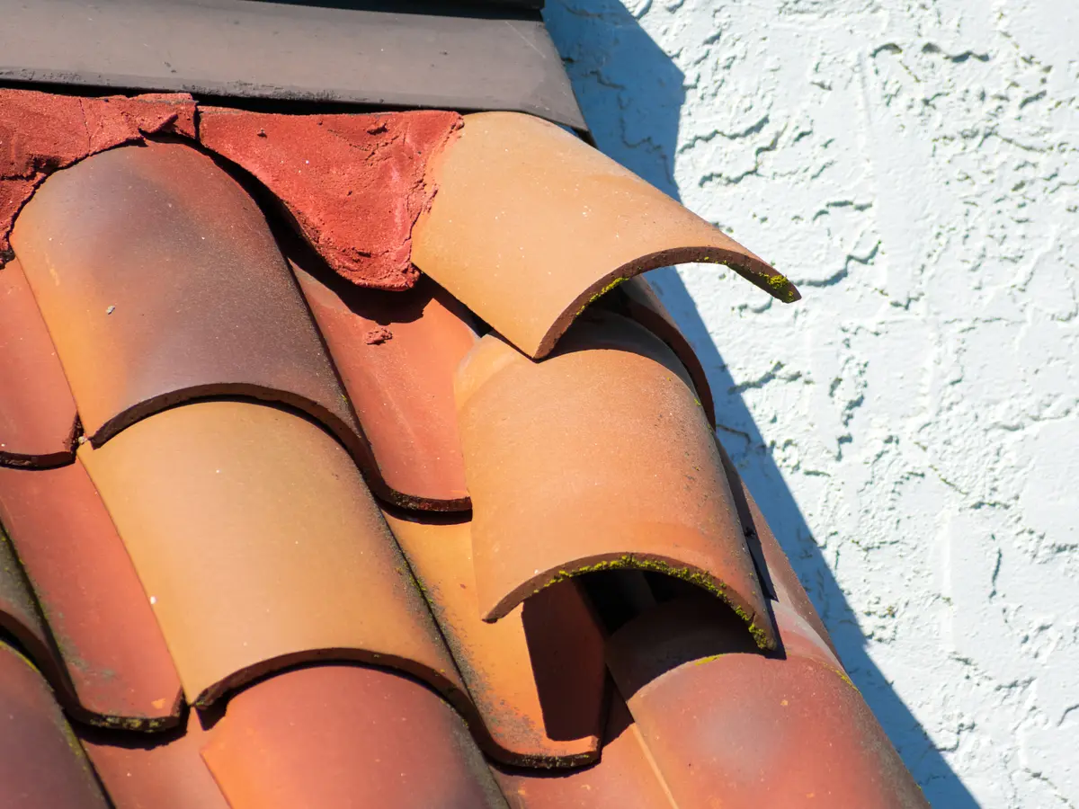 Close view of curved clay roof tiles